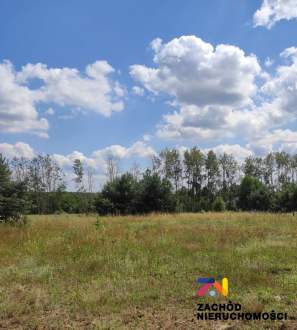 Dziłaka budowlana w Ochli z WZ